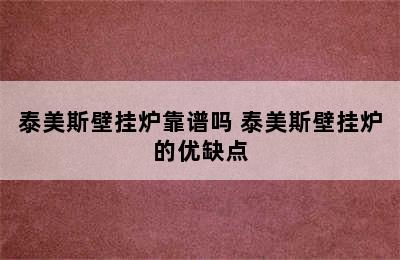 泰美斯壁挂炉靠谱吗 泰美斯壁挂炉的优缺点